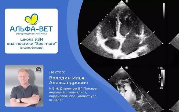 Приглашаем на семинар по ЭХО КГ