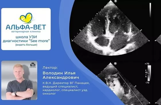 Приглашаем на семинар по ЭХО КГ