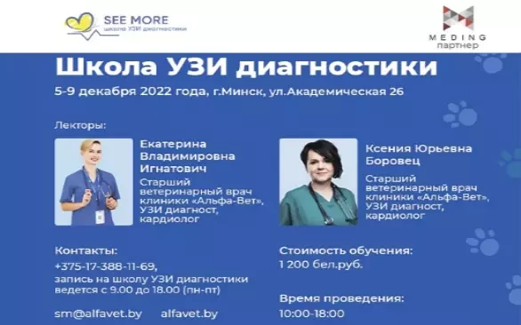 Обучение в школе УЗИ "See more"