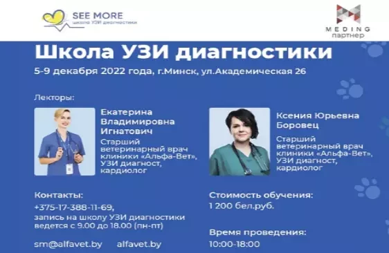 Обучение в школе УЗИ "See more"