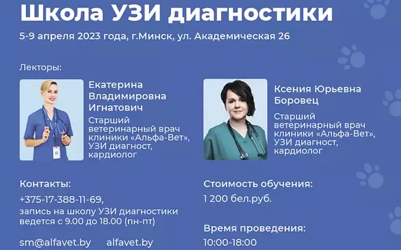 Обучение в школе УЗИ "See more"