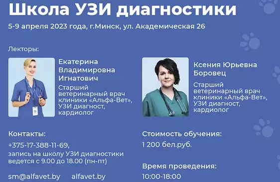 Обучение в школе УЗИ "See more"