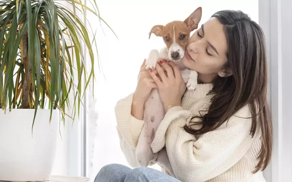 5 советов если вы решили завести собаку