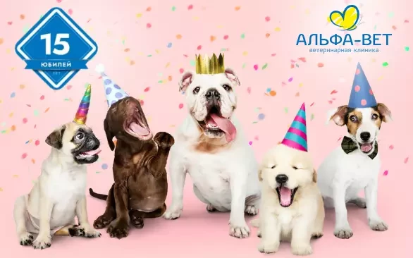 «Альфа-Вет» – 15 лет, и это только начало!