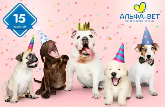 «Альфа-Вет» – 15 лет, и это только начало!