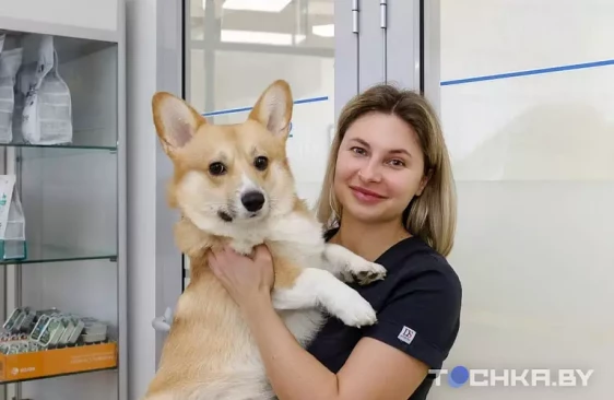 Самая добрая профессия: истории ветеринаров, спасших жизни многим питомцам