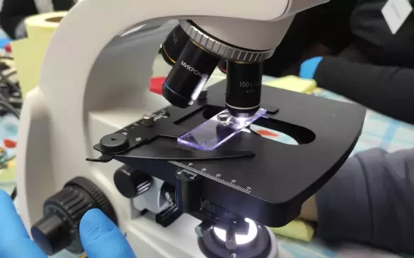 Школа ветеринарной дерматологии