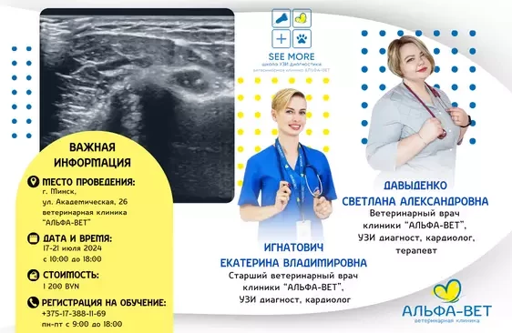 ОБУЧЕНИЕ УЗ-ДИАГНОСТИКЕ "SEE MORE" для ветеринарных врачей