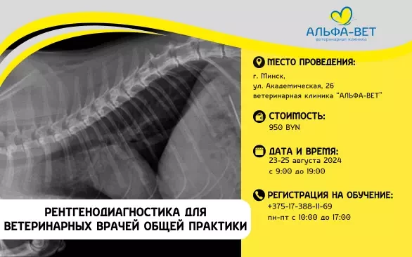 ОБУЧЕНИЕ ВЕТЕРИНАРНОЙ РЕНТГЕНОДИАГНОСТИКЕ