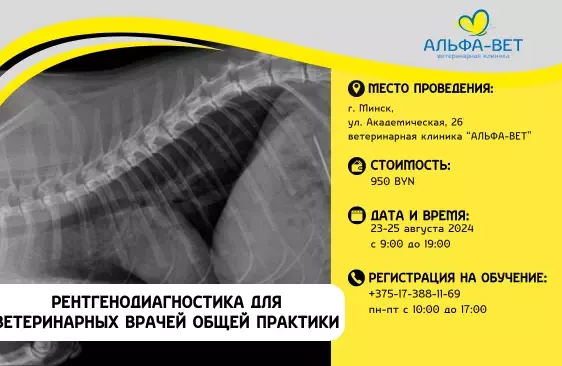 ОБУЧЕНИЕ ВЕТЕРИНАРНОЙ РЕНТГЕНОДИАГНОСТИКЕ