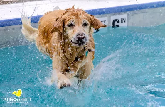 ВОДНЫЕ ИГРЫ: КАК ИЗБЕЖАТЬ ОПАСНОСТИ