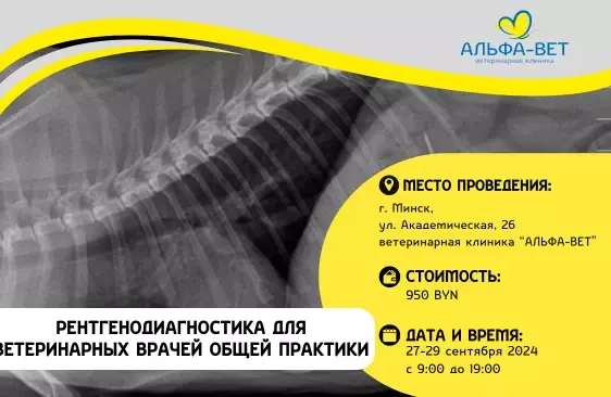 ОБУЧЕНИЕ ВЕТЕРИНАРНОЙ РЕНТГЕНОДИАГНОСТИКЕ