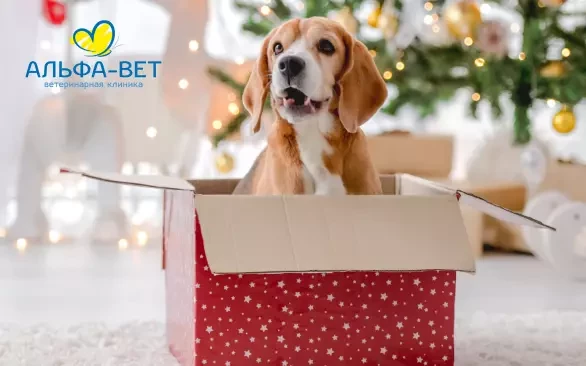 БЕЗОПАСНЫЙ НОВЫЙ ГОД