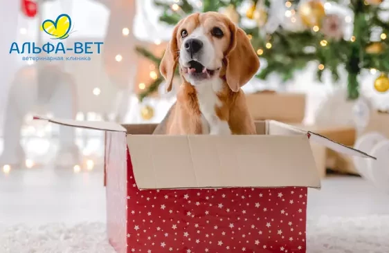 БЕЗОПАСНЫЙ НОВЫЙ ГОД