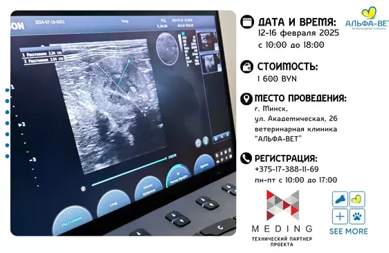 УЛЬТРАЗВУКОВАЯ ДИАГНОСТИКА ДЛЯ ВЕТЕРИНАРНЫХ ВРАЧЕЙ