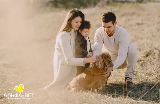 КАК СОХРАНИТЬ ЗДОРОВЬЕ И СЧАСТЬЕ ЛЮБИМЦА?