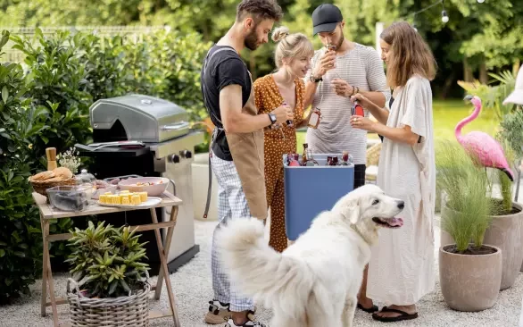 5 СПОСОБОВ СДЕЛАТЬ СЕЗОН ШАШЛЫКОВ БЕЗОПАСНЫМ