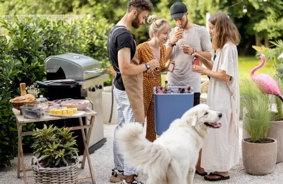 5 СПОСОБОВ СДЕЛАТЬ СЕЗОН ШАШЛЫКОВ БЕЗОПАСНЫМ