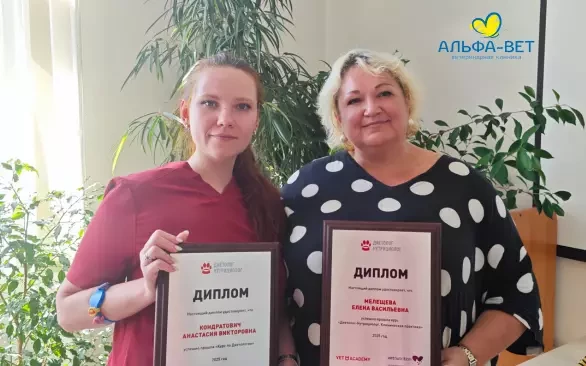 ПИТАНИЕ - ЭТО НЕ ПРОСТО "ЧТО ПОЛОЖИТЬ В МИСКУ"