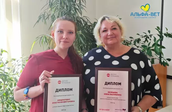 ПИТАНИЕ - ЭТО НЕ ПРОСТО "ЧТО ПОЛОЖИТЬ В МИСКУ"