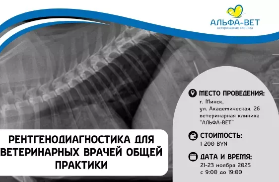 РЕНТГЕНОДИАГНОСТИКА ДЛЯ ВЕТЕРИНАРНЫХ ВРАЧЕЙ