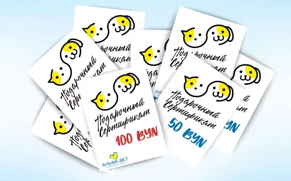 ПОДАРОК, КОТОРЫЙ ВАЖЕН!