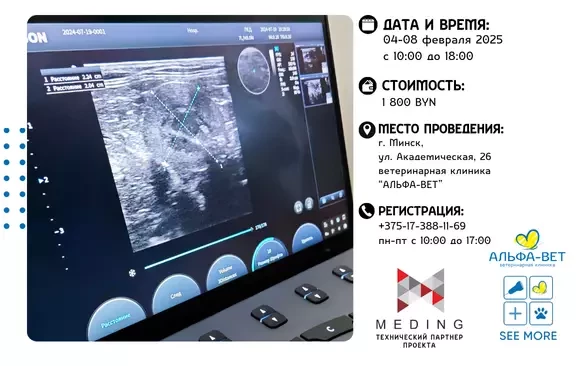 УЛЬТРАЗВУКОВАЯ ДИАГНОСТИКА ДЛЯ ВЕТЕРИНАРНЫХ ВРАЧЕЙ