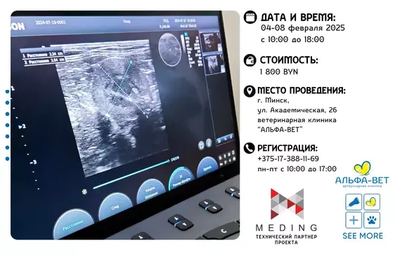 УЛЬТРАЗВУКОВАЯ ДИАГНОСТИКА ДЛЯ ВЕТЕРИНАРНЫХ ВРАЧЕЙ