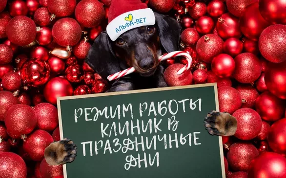 РЕЖИМ РАБОТЫ В ПРАЗДНИЧНЫЙ ПЕРИОД