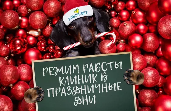 РЕЖИМ РАБОТЫ В ПРАЗДНИЧНЫЙ ПЕРИОД