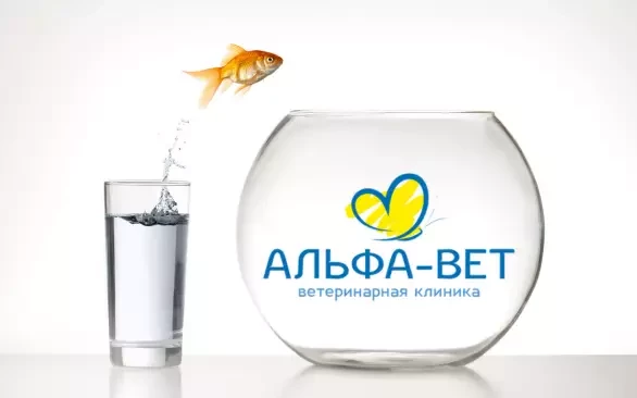 МЫ ПЕРЕЕЗЖАЕМ - И БЕРЕМ С СОБОЙ ВАШУ ЛЮБОВЬ!