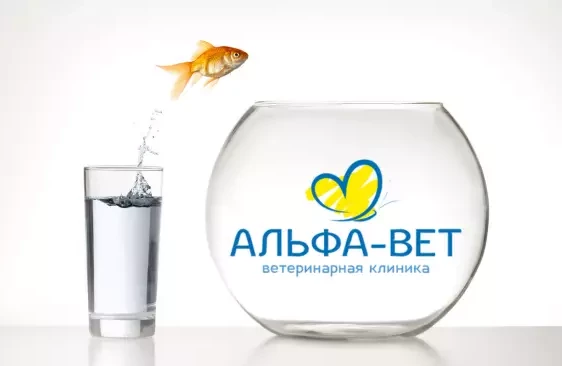 МЫ ПЕРЕЕЗЖАЕМ - И БЕРЕМ С СОБОЙ ВАШУ ЛЮБОВЬ!