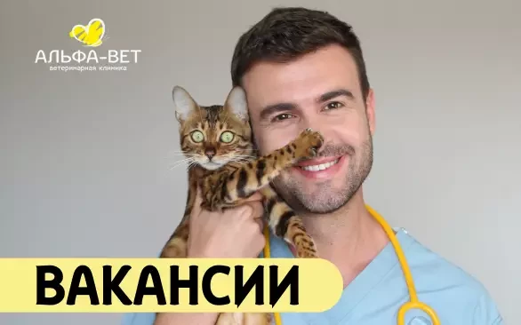 ПРИГЛАШАЕМ В КОМАНДУ!