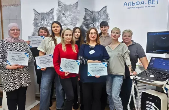 ПОГРУЖЕНИЕ В МИР УЛЬТРАЗВУКОВОЙ ДИАГНОСТИКИ: КАК ЭТО БЫЛО