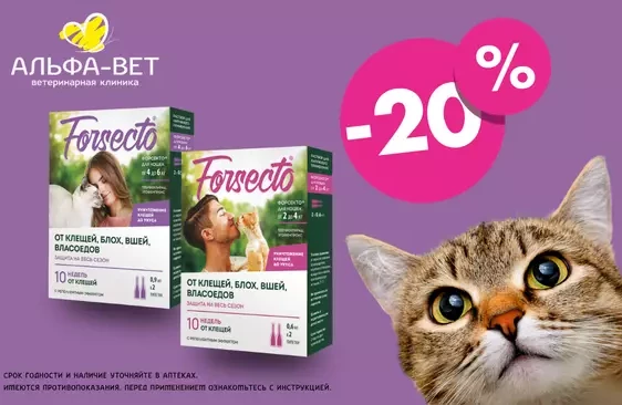 ОТПРАВЬТЕ КЛЕЩЕЙ И ВШЕЙ В НОКДАУН!