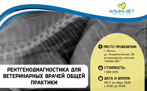РЕНТГЕНОДИАГНОСТИКА ДЛЯ ВЕТЕРИНАРНЫХ ВРАЧЕЙ