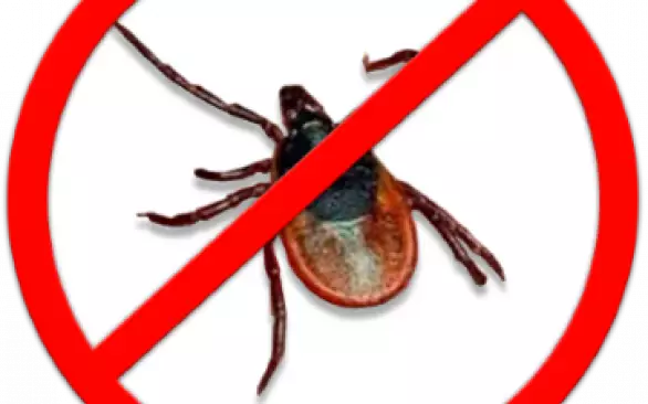 Начался сезон клещей!