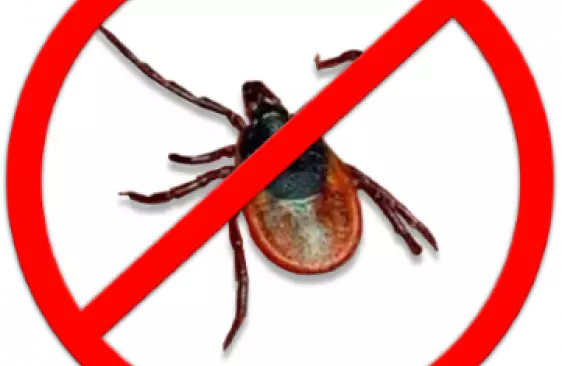 Начался сезон клещей!