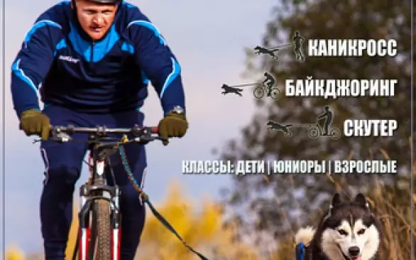 Весенний драйленд состоится 2 мая