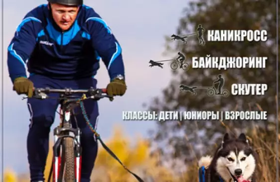 Весенний драйленд состоится 2 мая