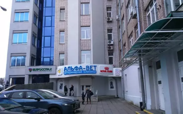 Открытие новой клиники по адресу: ул. Ульяновская, 31