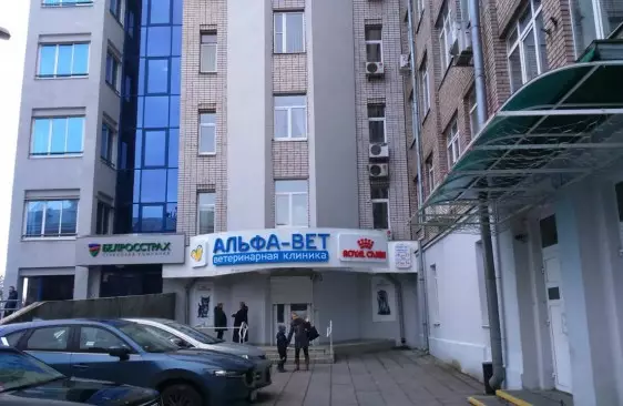 Открытие новой клиники по адресу: ул. Ульяновская, 31