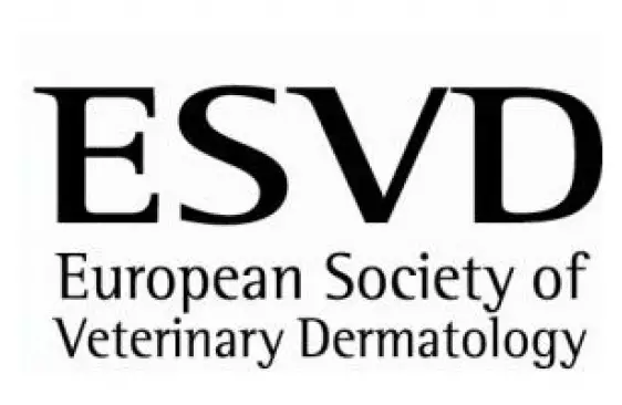 Специалисты клиники приняли участие в ветеринарном дерматологическом конгрессе.