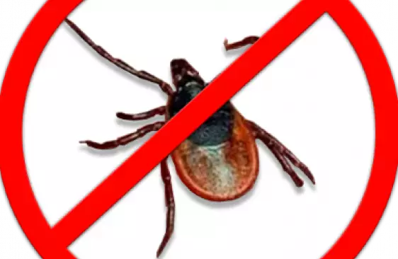 Скидка до 15% на препараты от блох и клещей