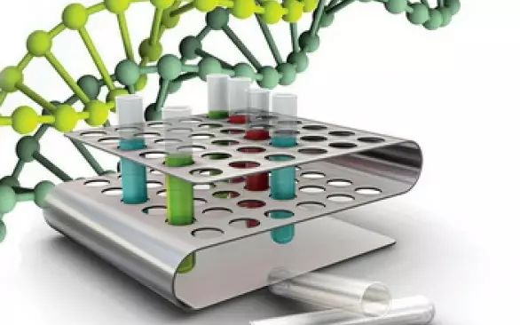 Новая услуга: ПЦР диагностика