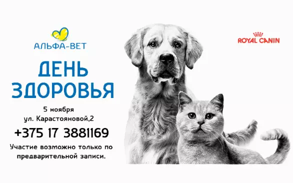 Приняв участие в «Дне здоровья» Вы сможете получить бесплатную консультацию ветеринарного врача.