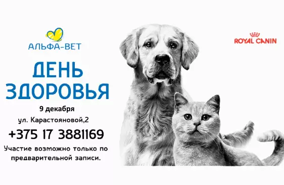 9 декабря стартует акция "День здоровья" совместно с RoyalCanin