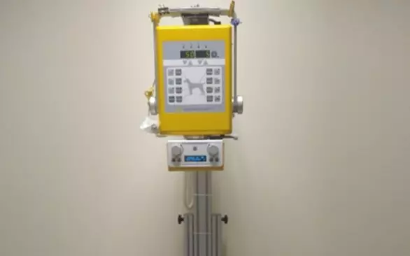 Дентальная радиография