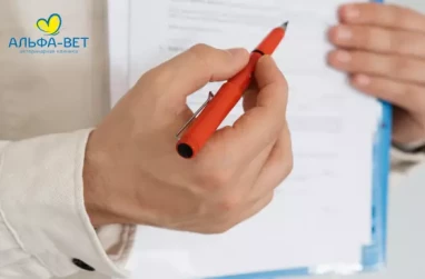 ПУБЛИЧНЫЙ ДОГОВОР ВОЗМЕЗДНОГО ОКАЗАНИЯ ВЕТЕРИНАРНЫХ УСЛУГ