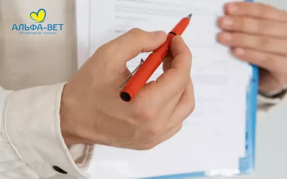 ПУБЛИЧНЫЙ ДОГОВОР ВОЗМЕЗДНОГО ОКАЗАНИЯ ВЕТЕРИНАРНЫХ УСЛУГ